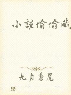 小说偷偷藏不住