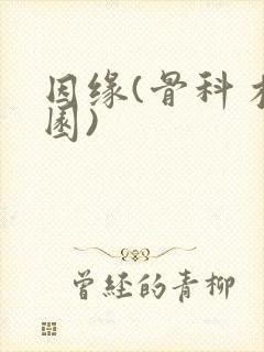 因缘(骨科 校园)