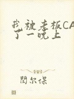 我被老板CAO了一晚上