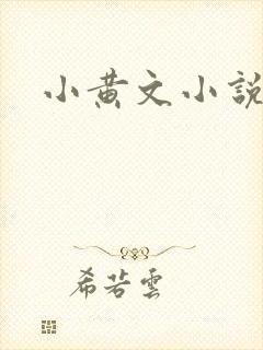 小黄文小说