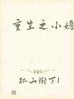重生之小媳妇