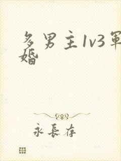 多男主1v3军婚