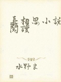 长相思小说免费阅读封面