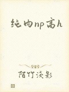 纯肉np高h