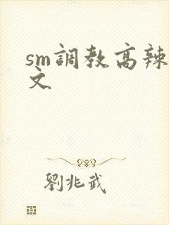sm调教高辣h文
