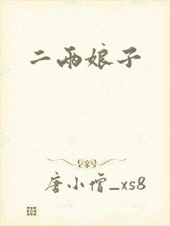 二两娘子封面