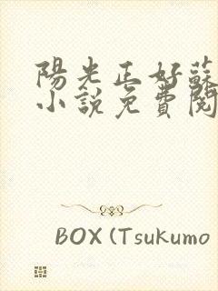 阳光正好苏玥玥小说免费阅读无弹窗