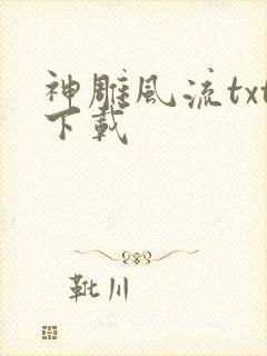 神雕风流txt下载