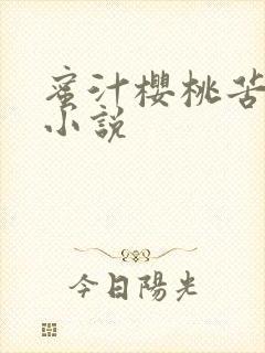 蜜汁樱桃苦咖啡小说