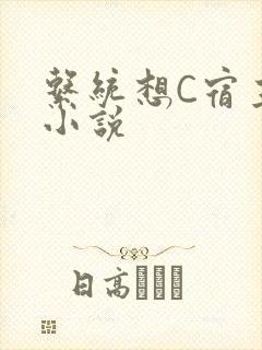 系统想C宿主的小说