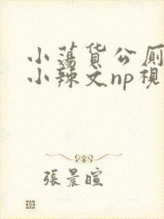 小荡货公厕h文小辣文np视频