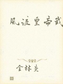 风流皇帝武则天封面