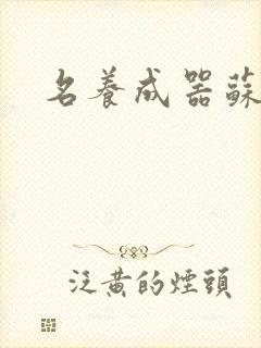 名养成器苏沫沫