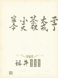 宁小茶太子殿下今天破戒了吗免费阅读封面