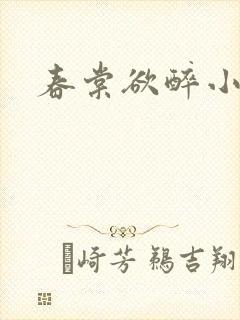 春棠欲醉小说封面