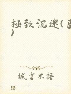 极致沉迷(臣年)封面