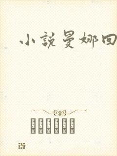 小说曼娜回忆录封面