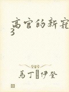 高官的新宠1V3封面