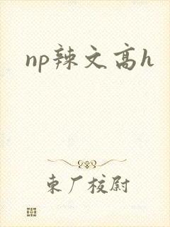 np辣文高h