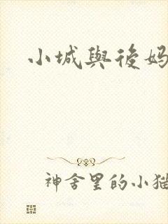 小城与后妈封面