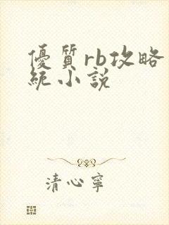 优质rb攻略系统小说