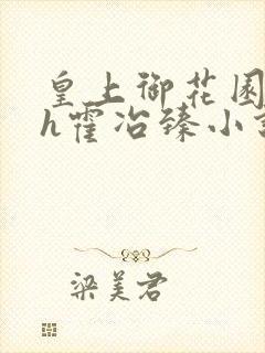 皇上御花园hlh霍冶臻小说封面