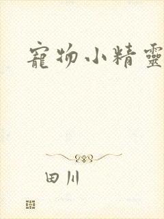 宠物小精灵漫画