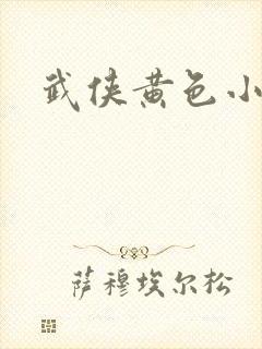 武侠黄色小说封面