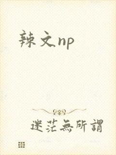 辣文np