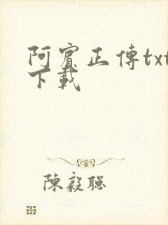 阿宾正传txt下载