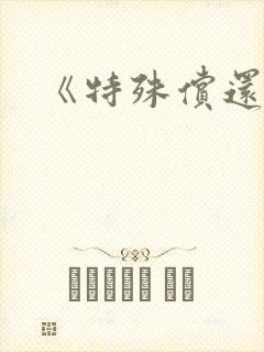 《特殊偿还》封面