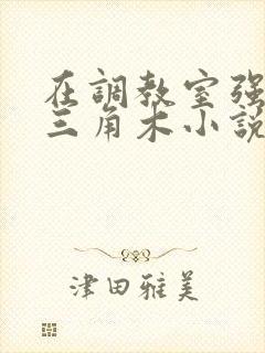 在调教室强迫坐三角木小说封面