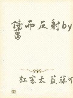 镜面反射by九葛