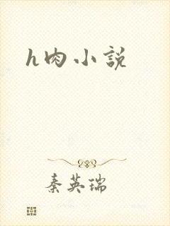 h肉小说