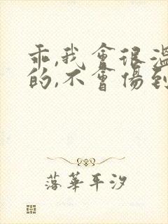 乖,我会很温柔的,不会伤到你小说封面