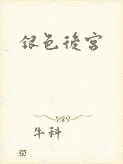 银色后宫