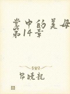 掌中的美母版主第14章