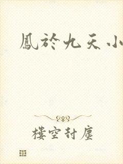 凤于九天小说