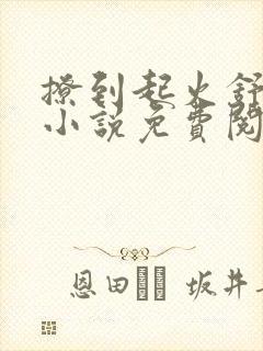 撩到起火舒漾的小说免费阅读全文