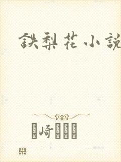 铁梨花小说