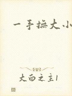 一手抚大小说