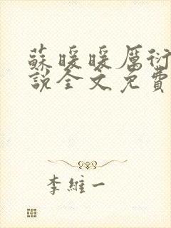 苏暖暖厉衍琛小说全文免费阅读