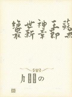 绝世神王苏莫 最新章节 无弹窗 笔趣阁封面