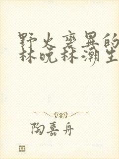 野火变异的父爱林晚林潮生封面