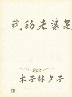 我的老婆是军阀