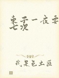 东子一夜要白洁七次封面