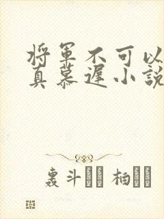 将军不可以魏云真慕迟小说笔趣阁封面