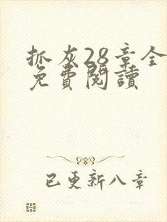 抓灰28章全部免费阅读