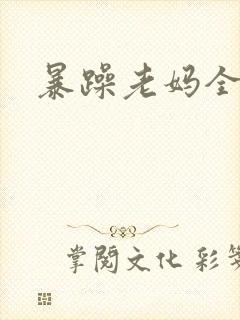 暴躁老妈全集封面