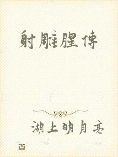 射雕腥传封面